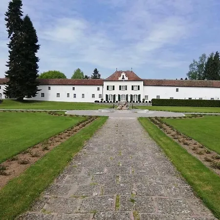 Tiny House 1 Im Schoenen Allgaeu Mit Grossem Garten, Naturnah *