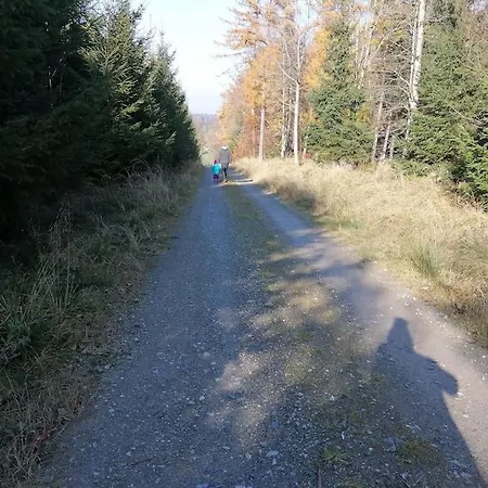 Tiny House 1 Im Schoenen Allgaeu Mit Grossem Garten, Naturnah