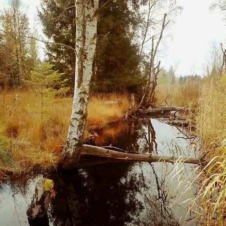 Tiny House 1 Im Schoenen Allgaeu Mit Grossem Garten, Naturnah Bad Wurzach