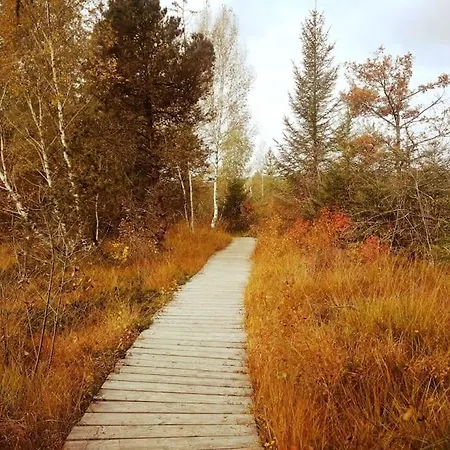 Tiny House 1 Im Schoenen Allgaeu Mit Grossem Garten, Naturnah Σαλέ